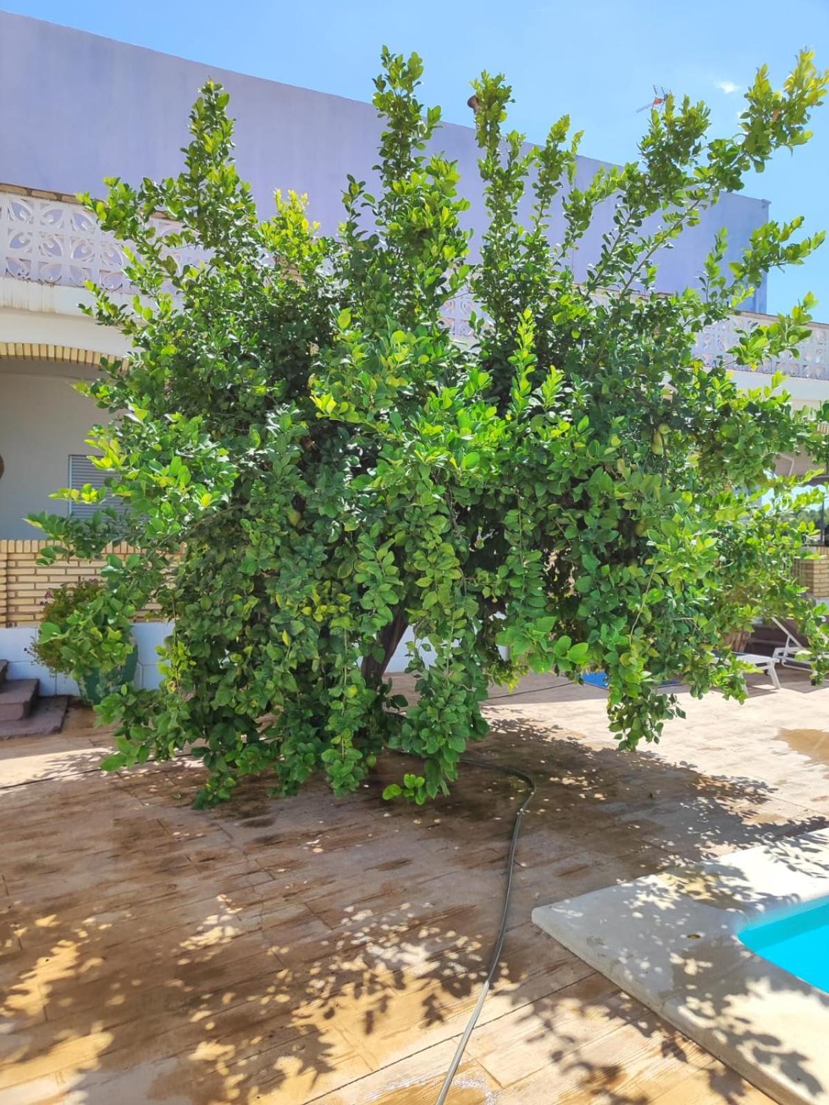 Villa El Recreo, Private Pool & Bbq Godelleta Exterior foto